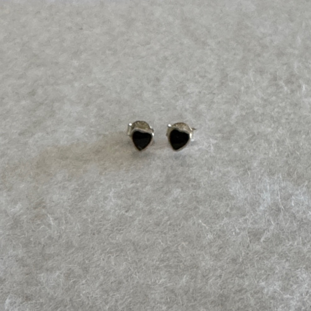 Elegant Black Teardrop Earrings